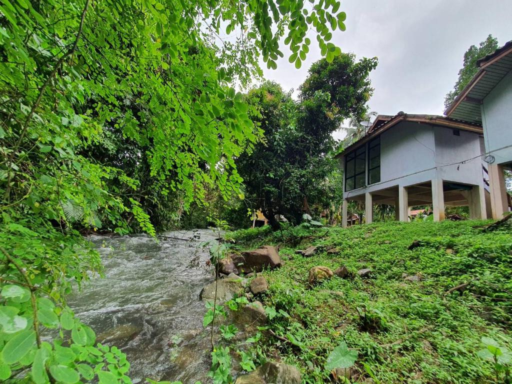 考索Malulee KhaoSok Resort的房子旁边的一条河