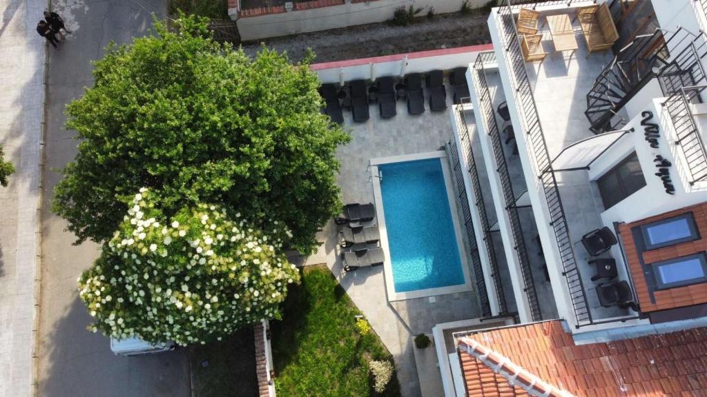布尔加斯Villa Aqua Family Hotel的享有一棵树和一座游泳池的别墅的顶部景色