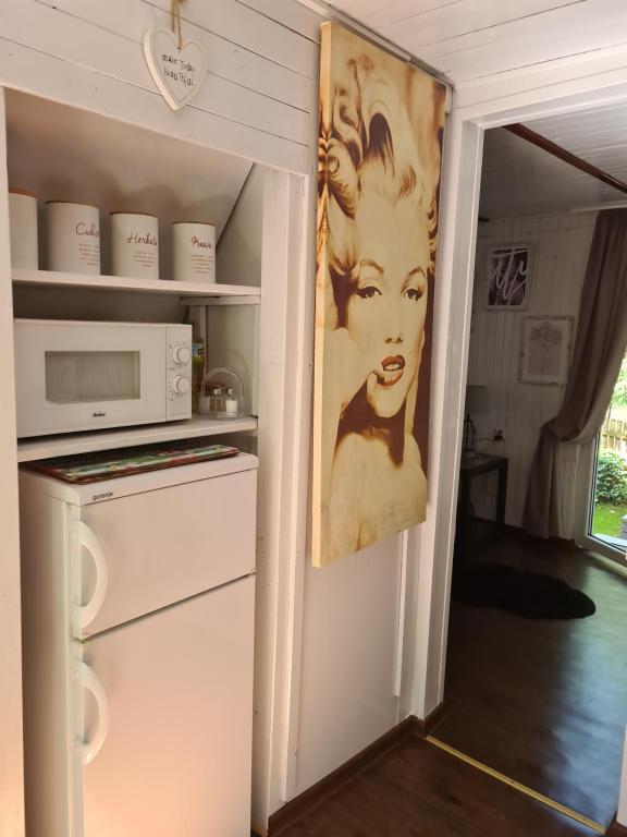 沃尔贾利Little Angel的厨房配有冰箱和微波炉。
