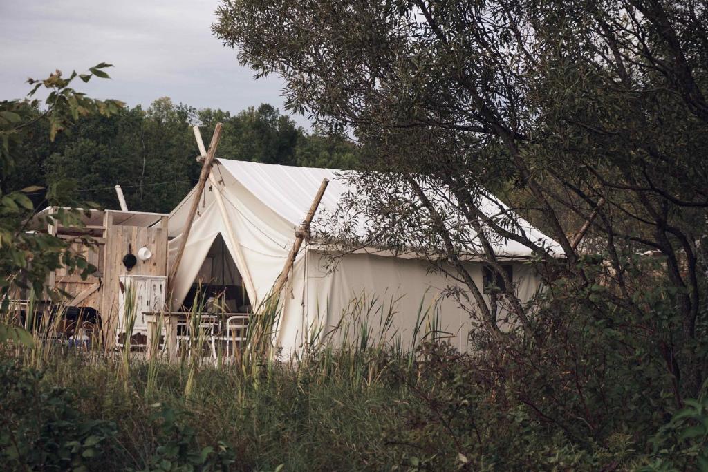 HillierFronterra Farm- Luxury Camp Experiences的草场上的一个白色大帐篷