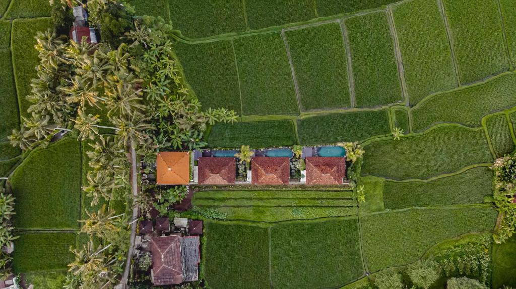 乌布Airsania Ubud Antique Villas的田野上房子的头顶景色