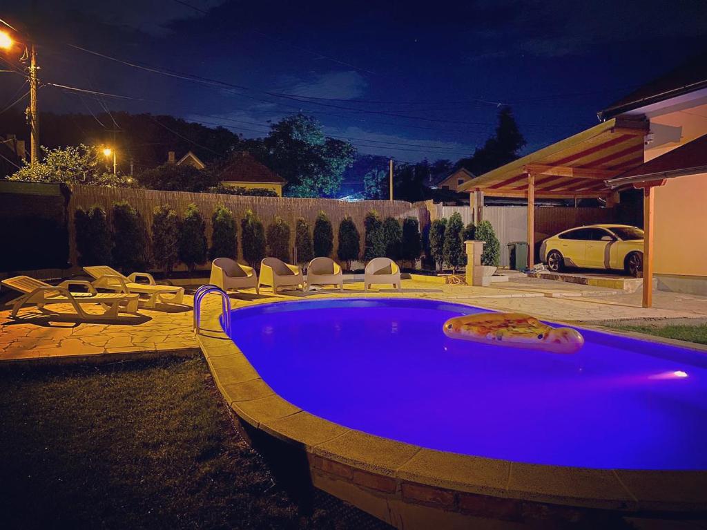 贝尔格莱德Mika’s Poolhouse的夜间在院子里的大型蓝色游泳池