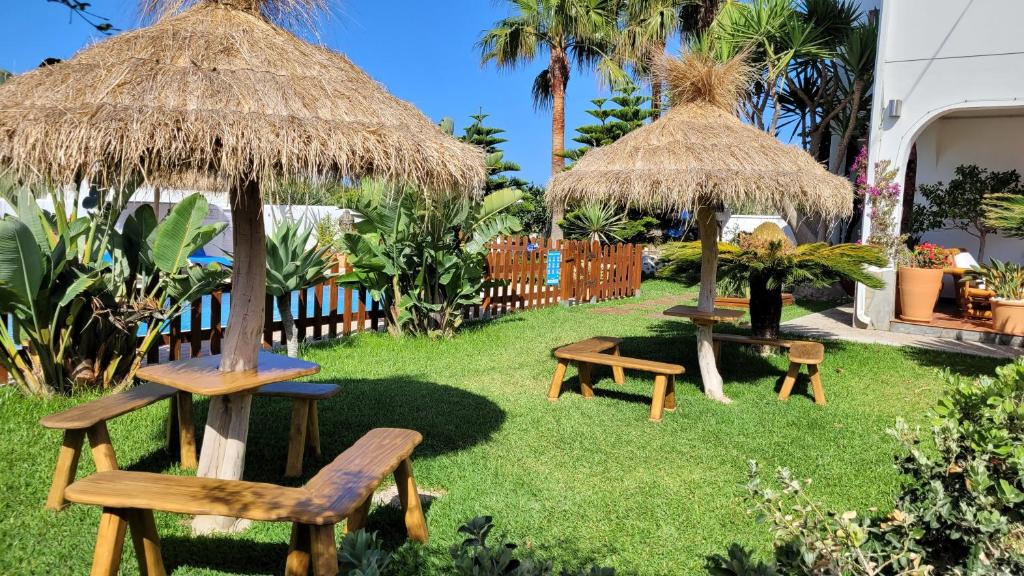 洛斯卡尼奥斯德梅卡Hostal Casa Arco Iris (Playa)的院子里的两把长椅和遮阳伞