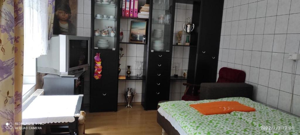 苏瓦乌基Mini domek jednopokojowy的客房设有带一张床和电视的卧室。