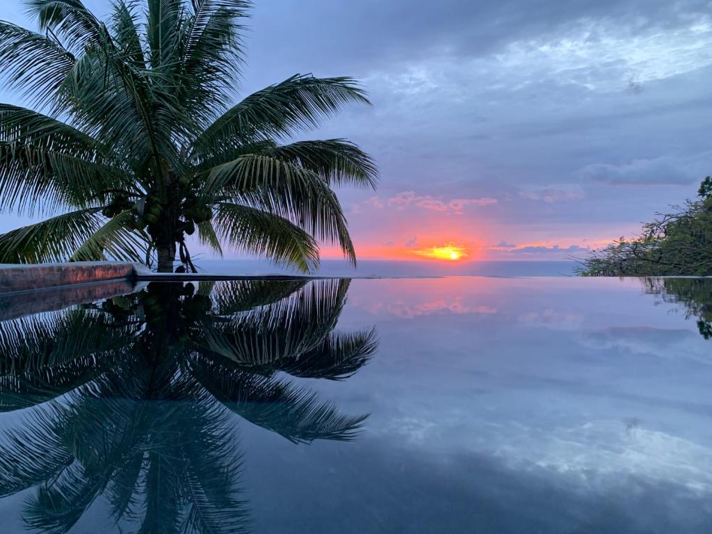 黑角TropicAngel ECOLODGE de Charme的棕榈树在水中反射,日落
