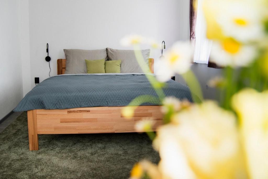 克拉斯纳利帕Apartmány Goliáš的一间卧室配有带2个枕头的床