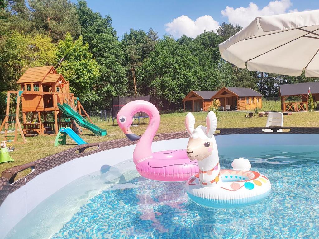 斯蒂格纳Kurdybanek - Domki letniskowe的游泳池里的粉色天鹅和小兔子