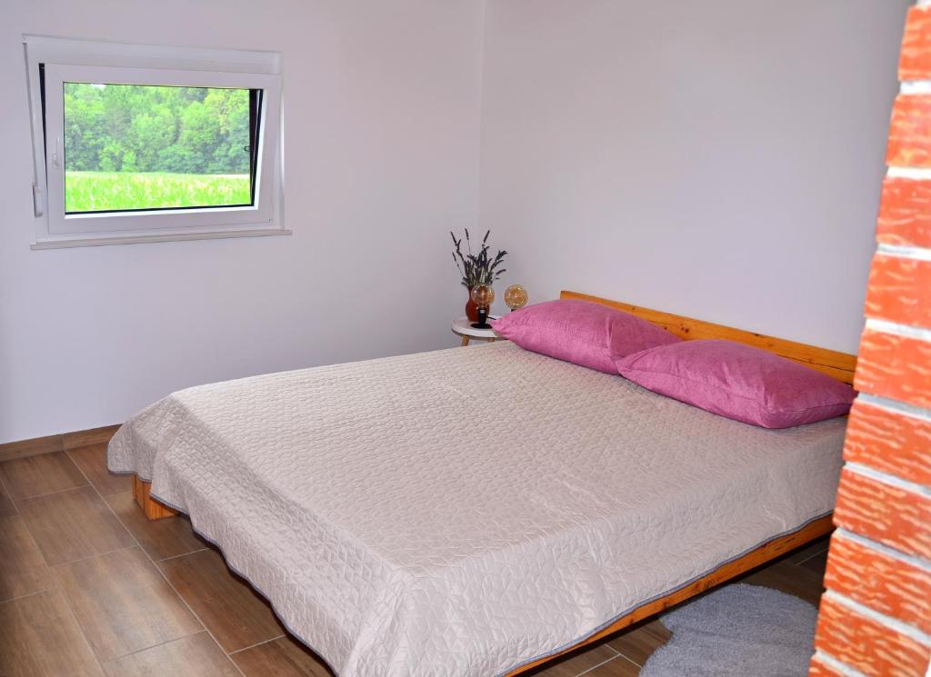 Sveti Jurij ob ŠčavniciAPARTMA KAPELSKI FANT的一间卧室配有带粉红色枕头的床和窗户。