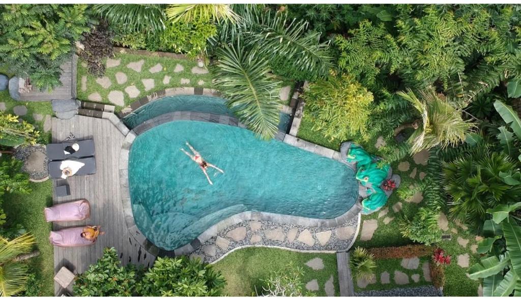 TampaksiringMirah Guest House的游泳池的顶部景色,里面的人
