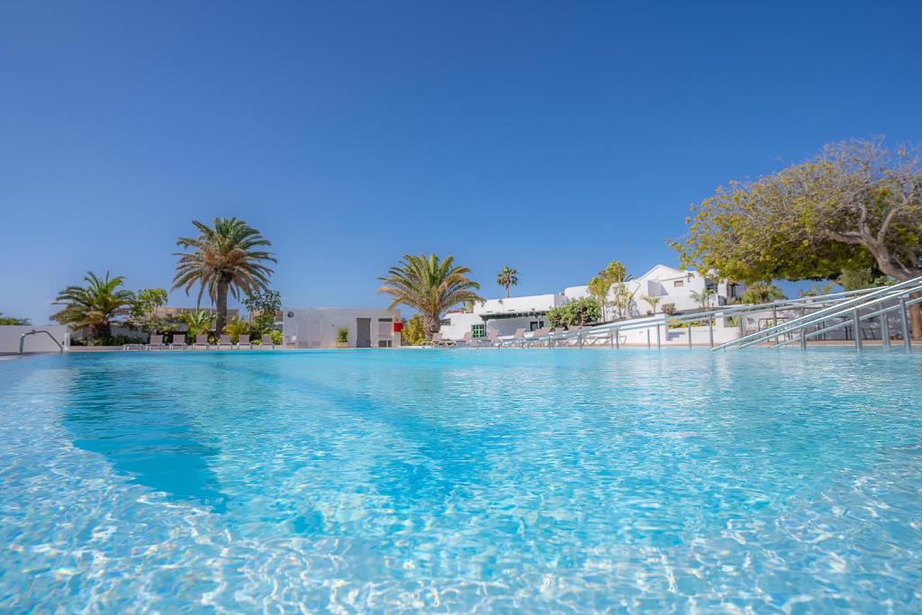 卡门港Casas Heddy, Well-being Resort的一座拥有蓝色海水和棕榈树的大型游泳池