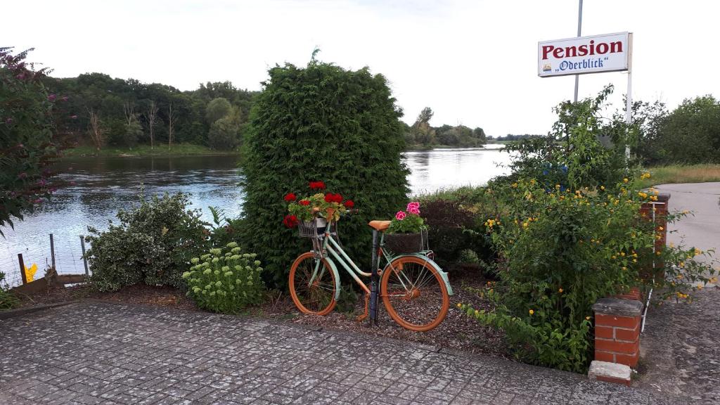 Dachstübchen an der Oder的一辆鲜花盛开的自行车停在河边