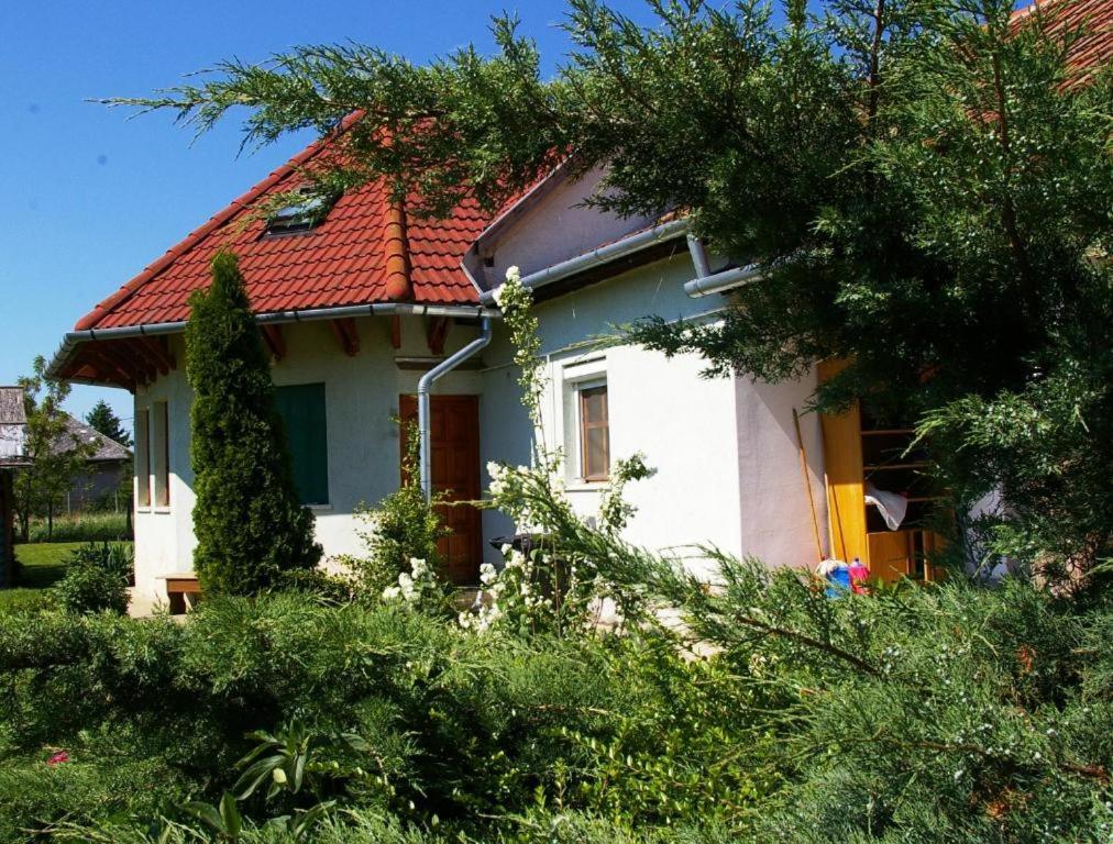 奥巴曹洛克Gábor apartmanok的一间白色的小房子,有红色的屋顶