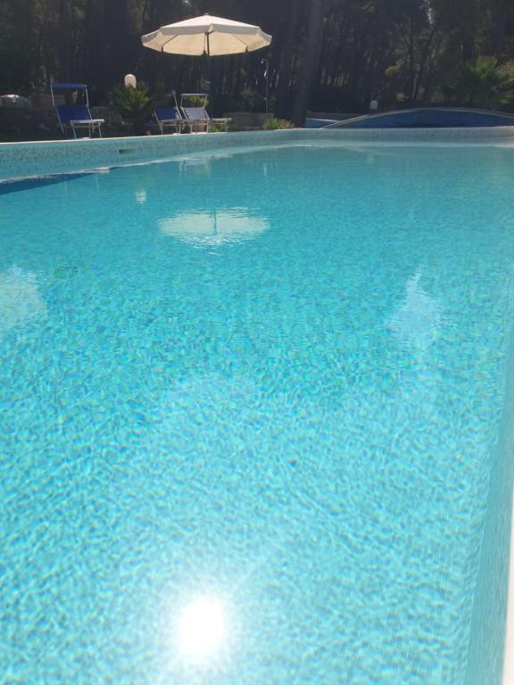 马蒂诺Appartamento Solepineta的一个带遮阳伞的大型蓝色游泳池