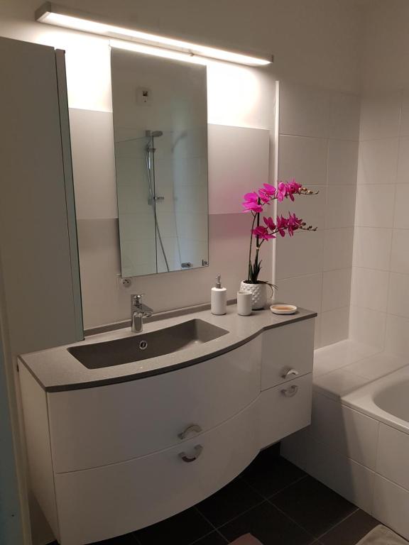 阿维尼翁APPARTEMENT T2 AGROPARC AVIGNON的浴室配有盥洗盆、镜子和浴缸