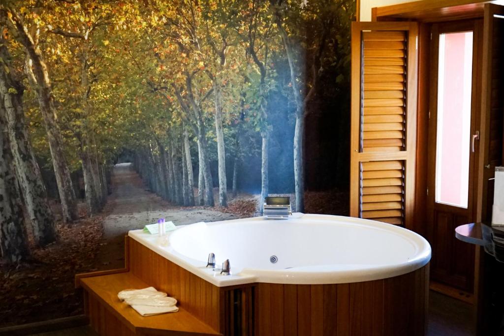 圣洛伦索-德埃斯科里亚尔德马丁酒店的带浴缸的浴室,配有一幅树木画