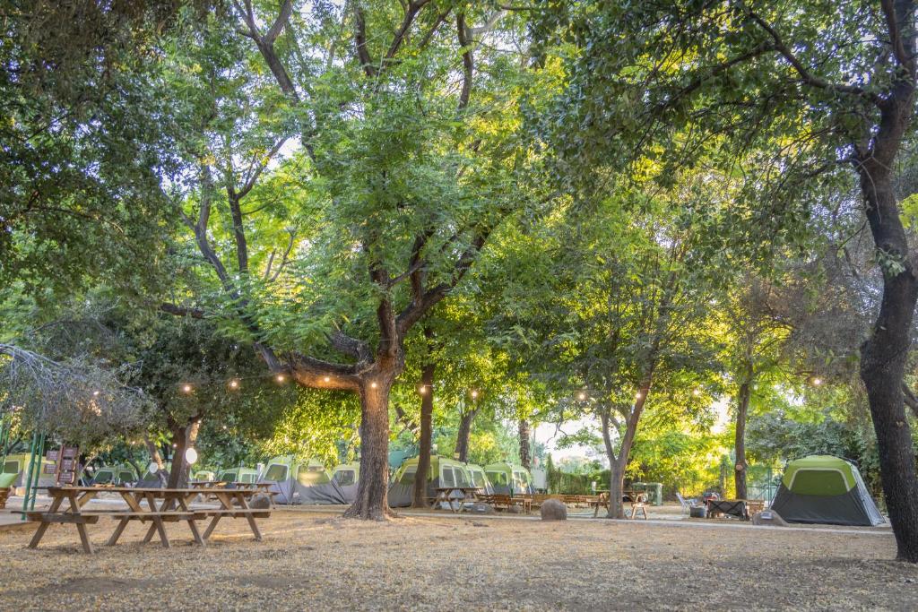 达夫纳Camping Dafna - By Travel Hotel Chain的公园里的野餐桌和帐篷