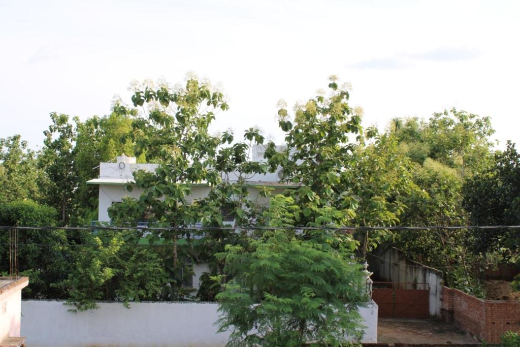 德奥加尔"Priyadarshi Villa" Free pickup in ac car from Jasidih Railway station or Deoghar Airport的前面有树木的白色房子