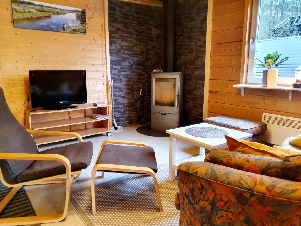 SaxnäsKultsjögården-Saxnäs- Marsfjäll 10的带沙发和电视的客厅
