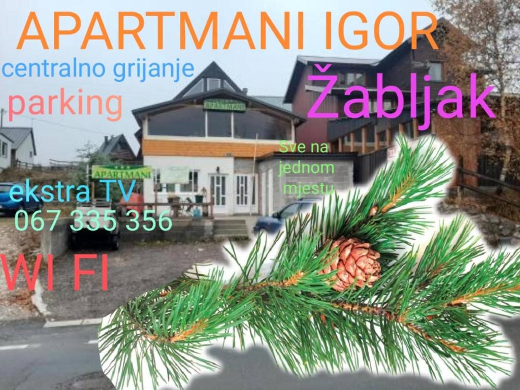 扎布利亚克Apartments Igor的房子前面的圣诞树