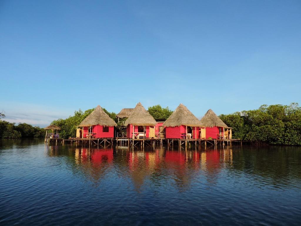 Buena VistaUrraca Private Island Bocas del Toro的相册照片