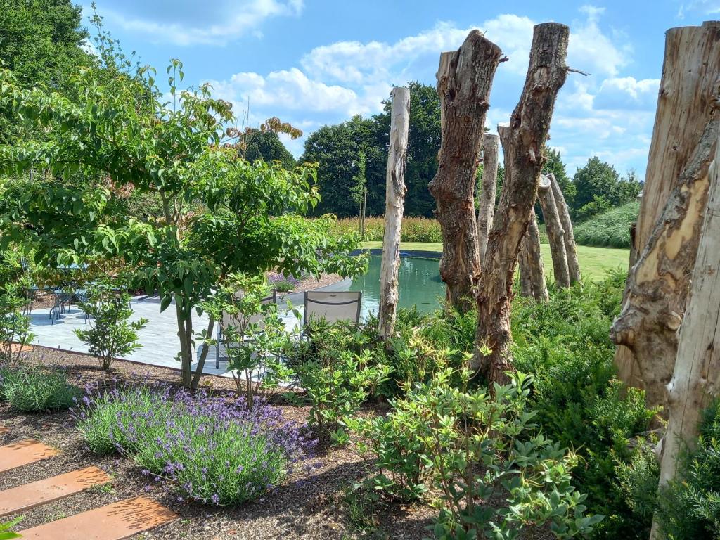 罗伯特维尔Le jardin des fagnes的种有树木和紫色花卉的花园,池塘