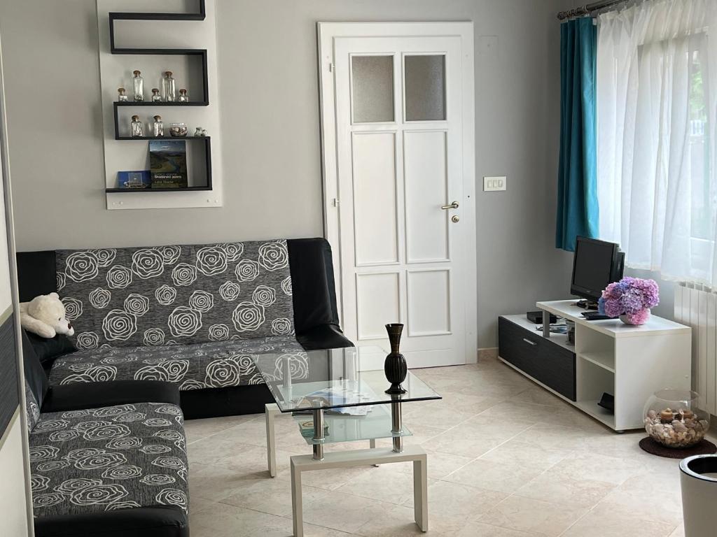 采蒂涅Cetinje Apartments的带沙发和电视的客厅