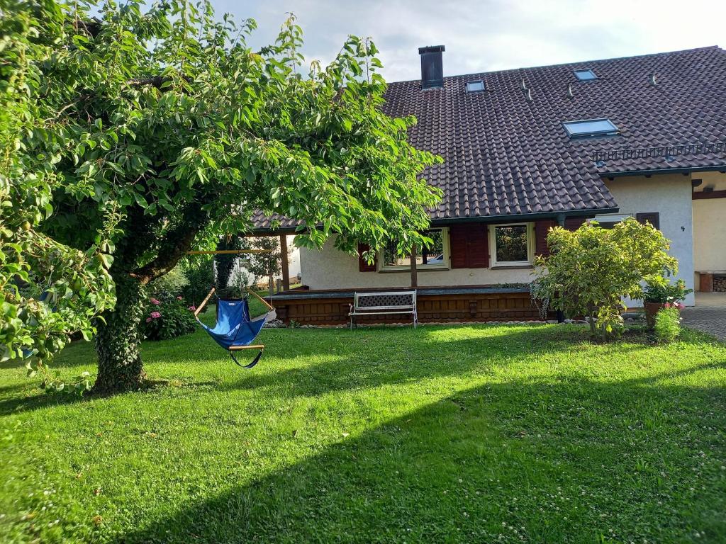 梅尔斯堡Ferienwohnung Riposo的挂在房子前面的树上的吊床