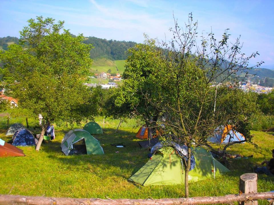古察Camp Panorama的一群在田野里树的帐篷