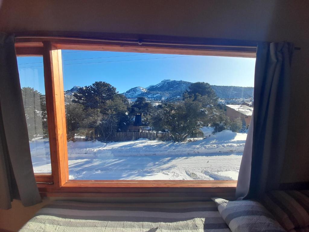 佩休尼亚镇Lago Mistico的窗户享有雪覆盖的庭院的景致。