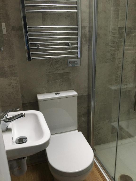 卡舍尔2 Agars Lane Cashel的浴室配有卫生间、盥洗盆和淋浴。