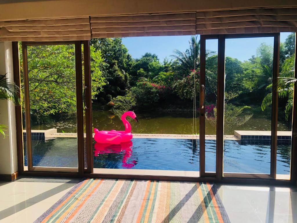 农布Pool Villas by Honey-5 miles from central Pattaya Beach的窗户外的水中粉红色的火烈鸟