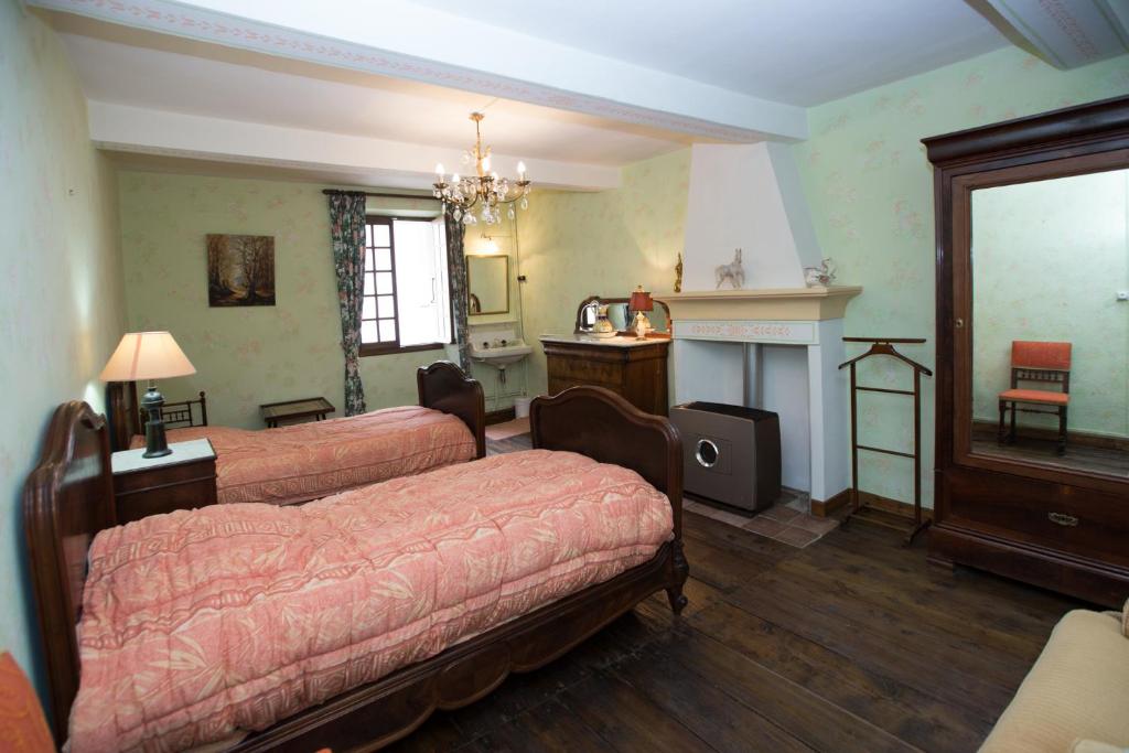Saint-Martin-dʼEntraunesHotel des Etrangers的一间卧室配有一张床和一个壁炉