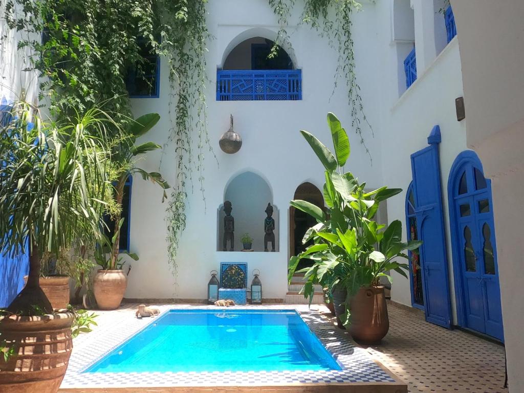 马拉喀什里亚德查梅陇摩洛哥传统庭院住宅旅馆的植物繁茂的房屋庭院内的游泳池