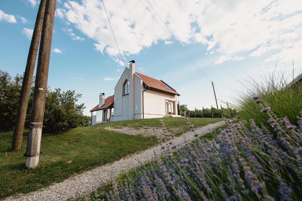 GrabrovnikKuća za odmor Vlahek的一座小白色房子,位于一座小山上,种着紫色的鲜花