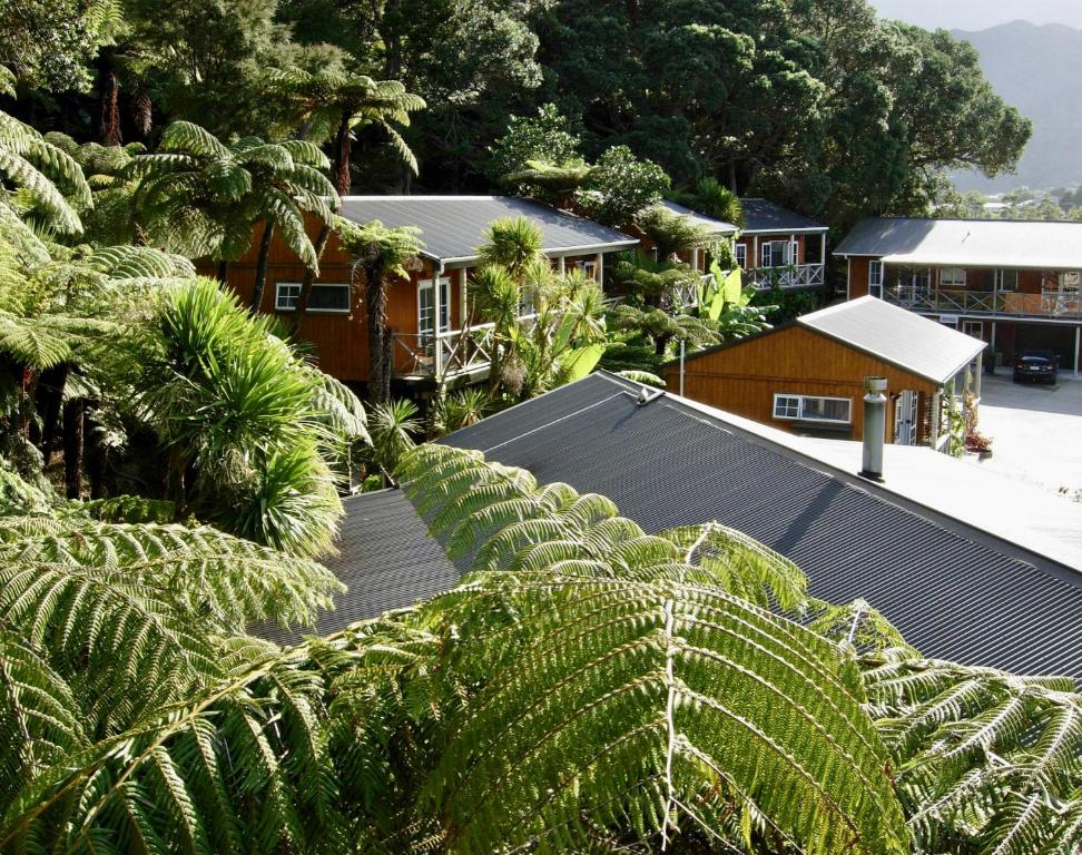 科罗曼德镇安克尔汽车旅馆的棕榈树房屋的空中景致