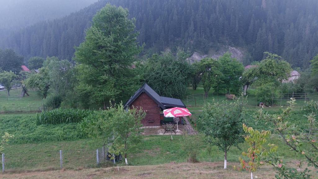 Pîrîu CîrjeiTiny house Casa Axa的田野上带红伞的小房子