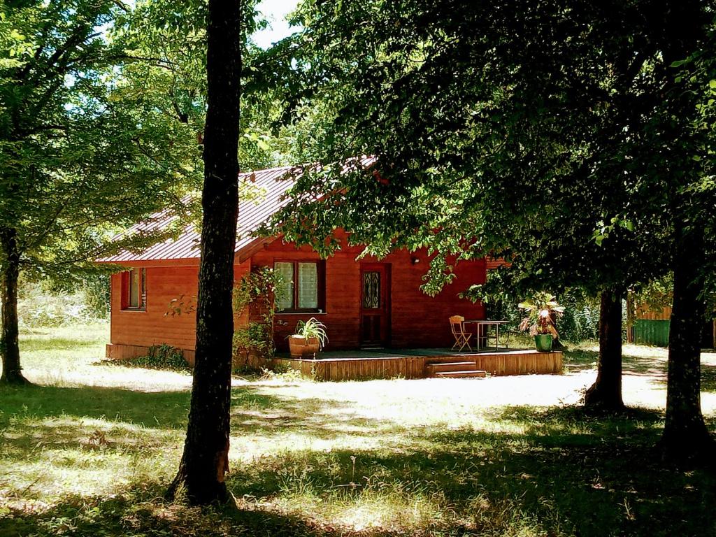 ValpuiseauxChalet en forêt, brame du cerf的树中间的一个红色小屋