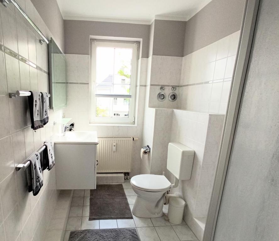 青斯特Appartment Relaxtage的一间带卫生间、水槽和窗户的浴室