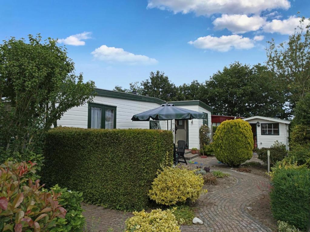 SchoonlooChalet Drenthe huren! Hart van bosrijk Drenthe! -Rust, ruimte en ontspanning is genieten! Welkom! -Peace, space and relaxation is enjoyment! Welcome! -Ruhe, Raum und entspannung sind genuss! Willkommen!的一个带遮阳伞和房子的花园