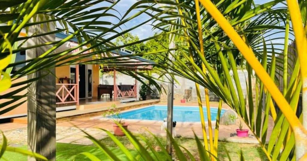 帕皮提TAHITI - Fare Vairai Pool的一座带游泳池和一些棕榈树的房子