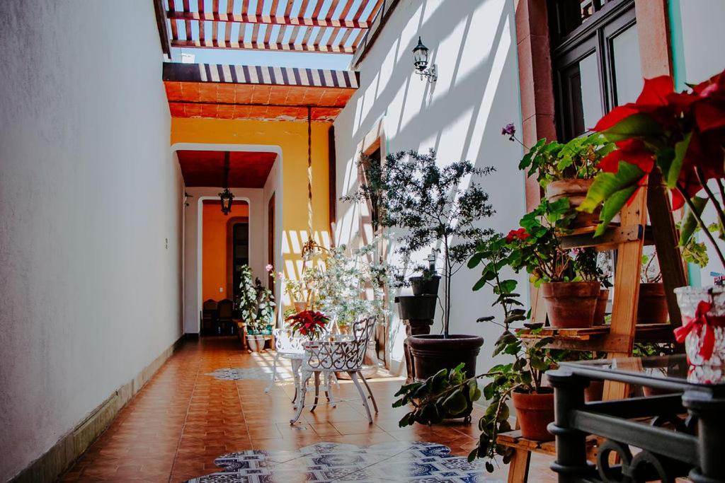 圣路易斯波托西GRAN ALCÁZAR HOTEL BOUTIQUE的走廊里布满了植物和桌椅