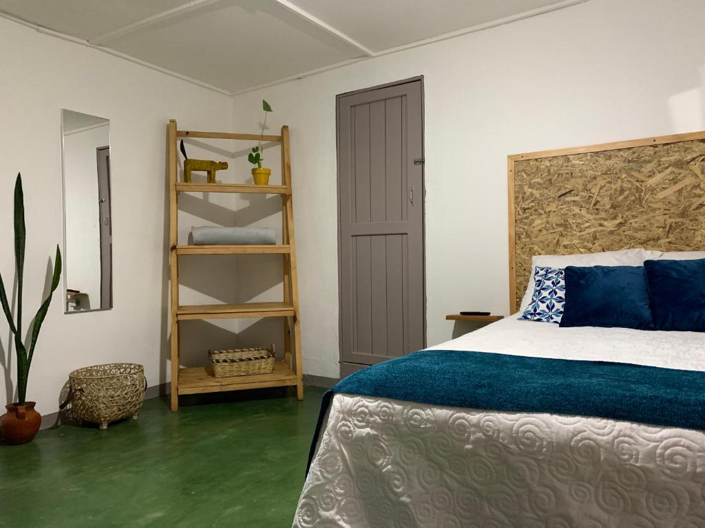 圣胡安拉拉古纳Chirris Hostel的一间卧室设有一张床和一个书架