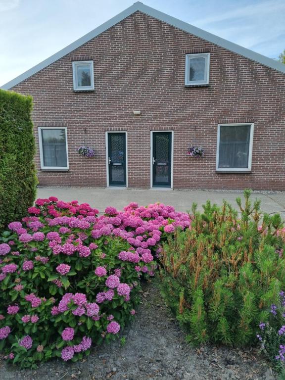 HemHemmer Hofstede的前面有粉红色花的砖砌建筑
