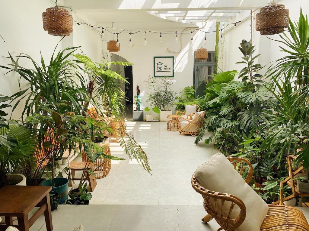 绥和市Laé Hostel的充满植物的房间