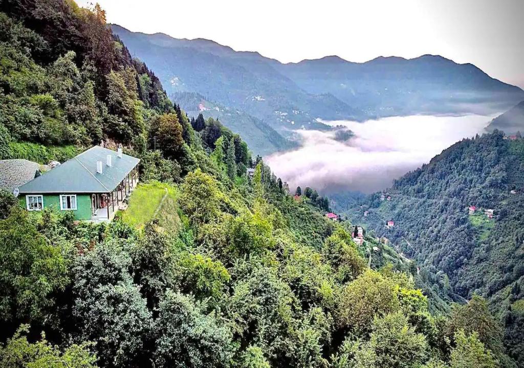 特拉布宗Trabzon Mountain House-UZUNLU的山谷旁的房屋