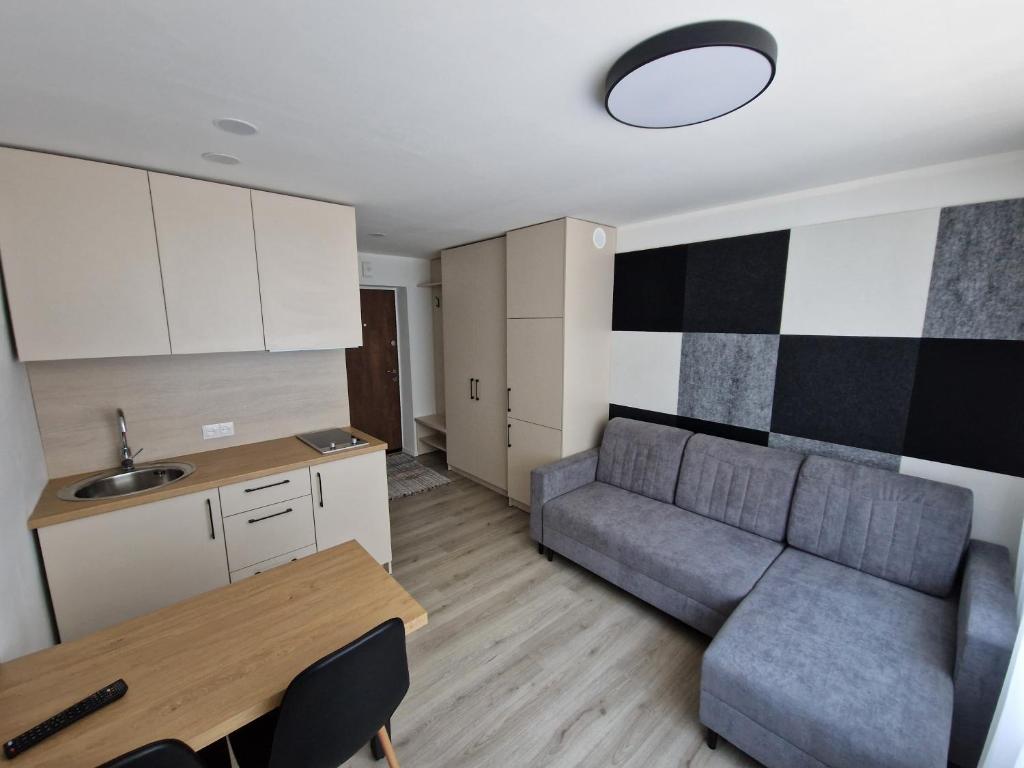 克莱佩达New cosy Karklu Apartment in Klaipeda的客厅配有沙发和桌子