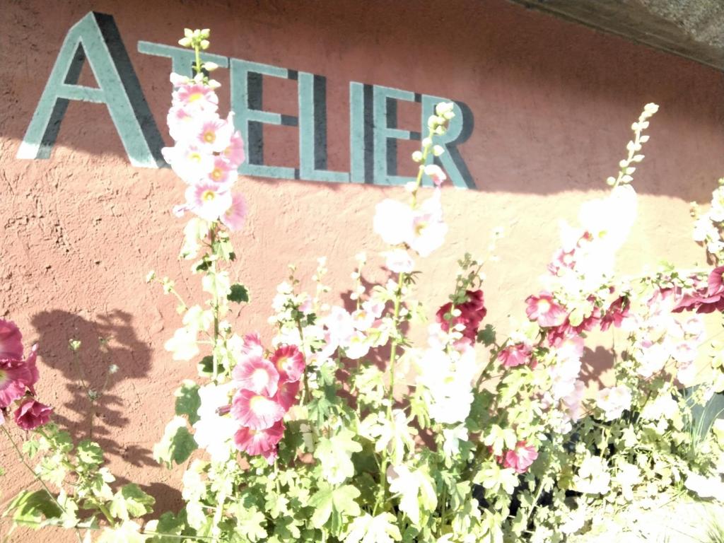 施特芬斯哈根Ferienatelier 1的建筑物边的一束鲜花