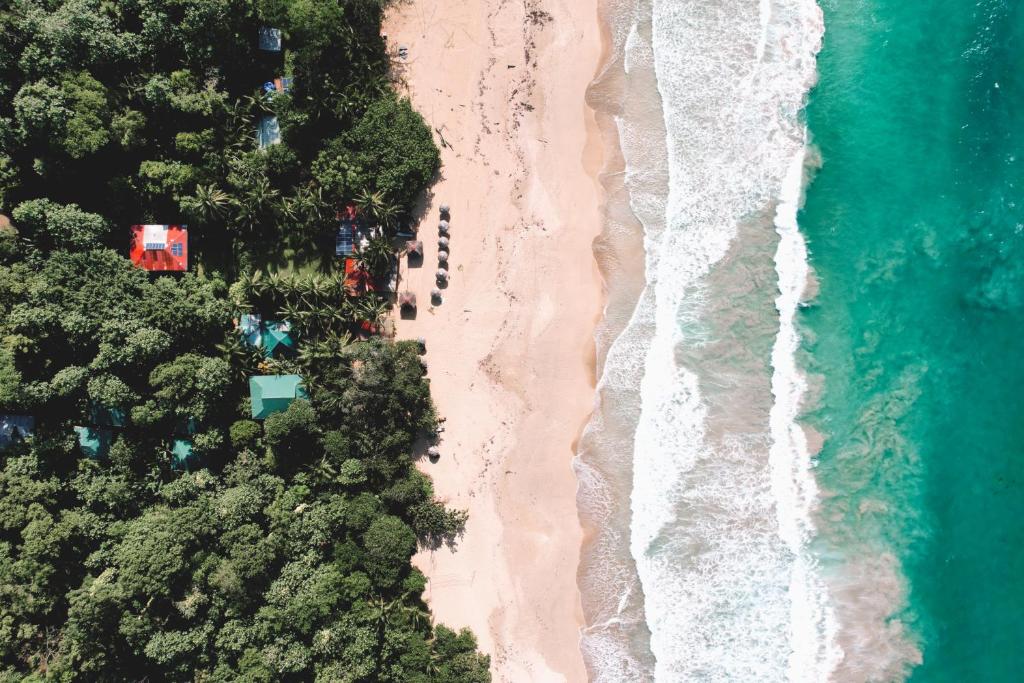 博卡斯德尔托罗Palmar Beach Lodge的享有海滩和大海的顶部景色