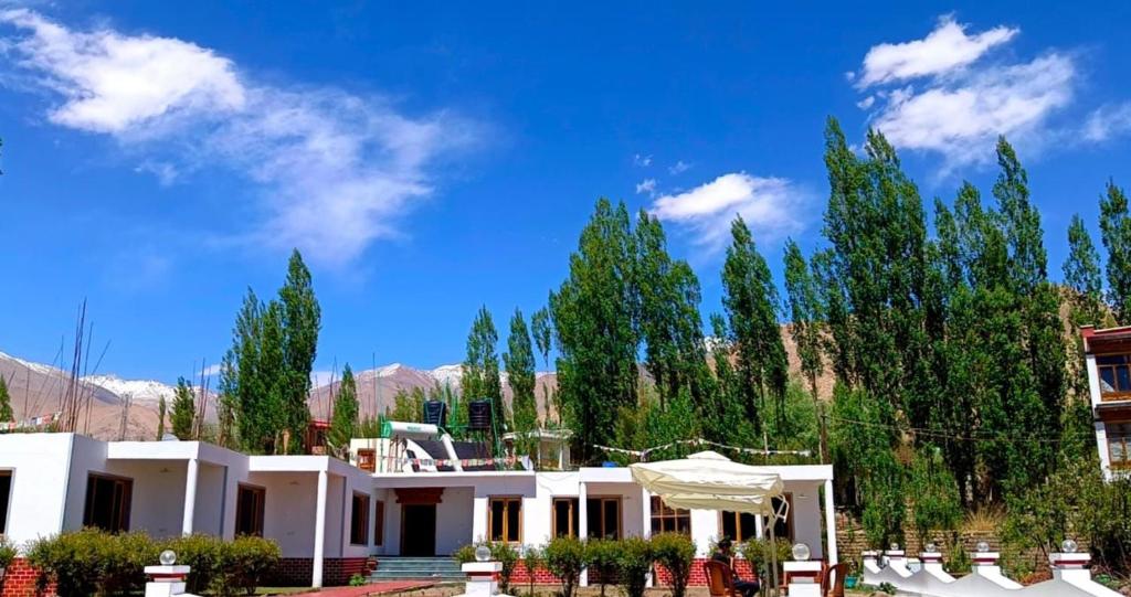 列城Ladakh Kingdom, Leh的一座大白色房子,后面有树木