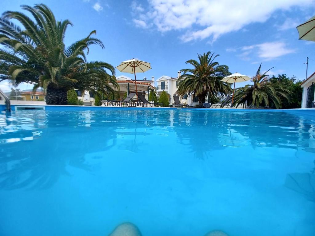 VranáPALMAR CLUB - Villa ZENOBIA的一座棕榈树和遮阳伞的大型游泳池
